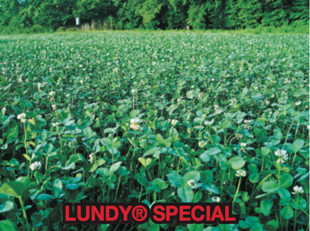 Lundy Special Field