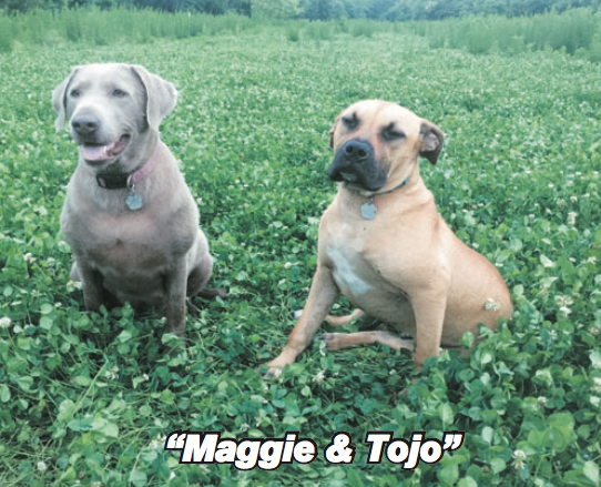 Maggie & Tojo