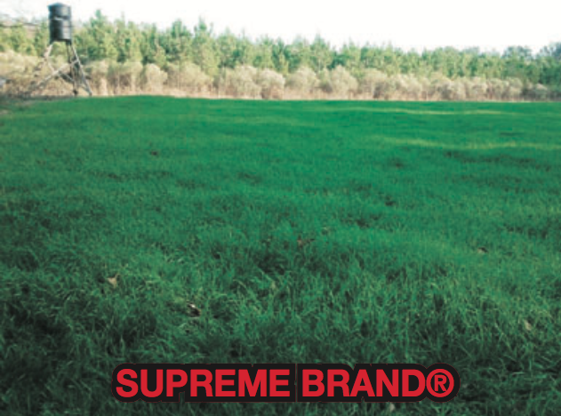 Supreme Brand Field